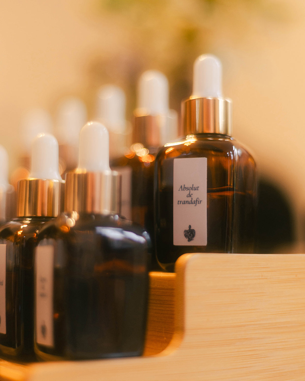 Sticluțe cu esențe pe suportul de lemn la atelierul de parfum, cu Absolutul de trandafir în prim-plan